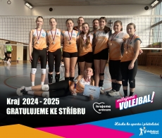Stříbrná titulka